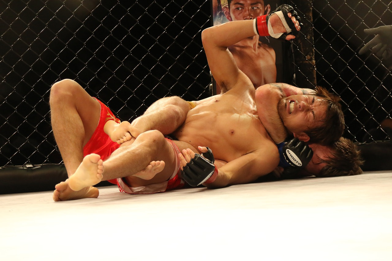 mma photo